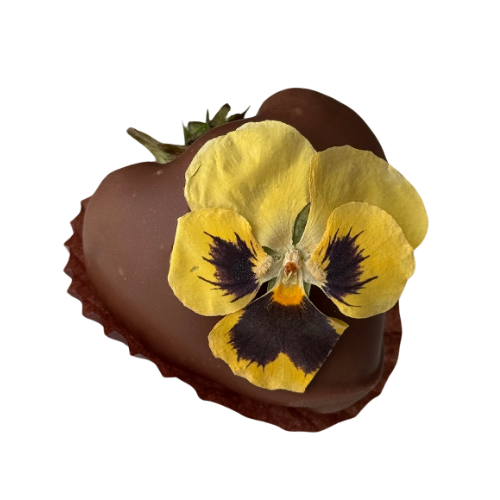Floral Touch