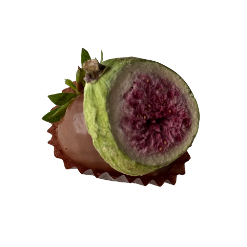 Fig Fantasy