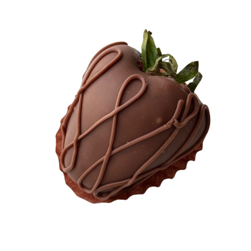 Classic Chocoloate Stripe